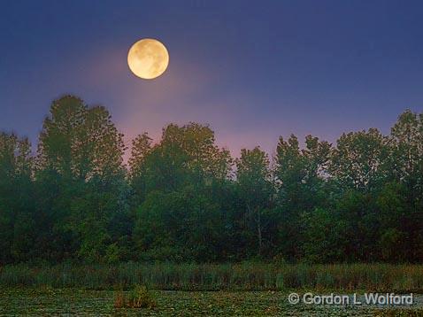 Setting Moon_21114-6.jpg - Irish Creek photographed at first light near Jasper, Ontario, Canada.